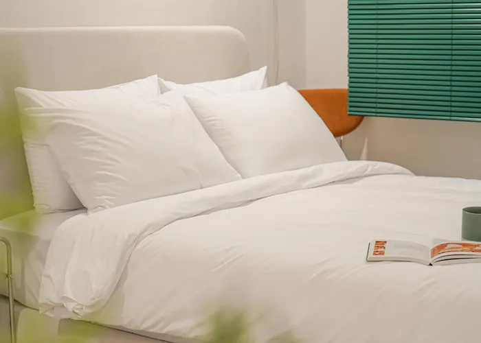 1min From Stn Free Luggage Storage Prime Location Couette-café *